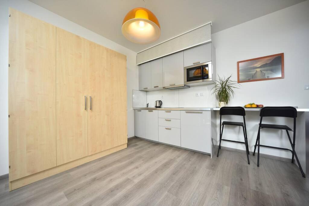 Waltrovka, Free Parking Appartamento *
