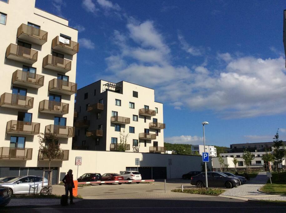 Appartamento Waltrovka, Free Parking *